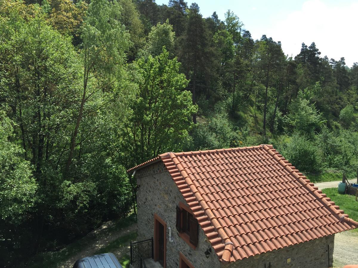 Giusvalla Forest Village Dego Extérieur photo
