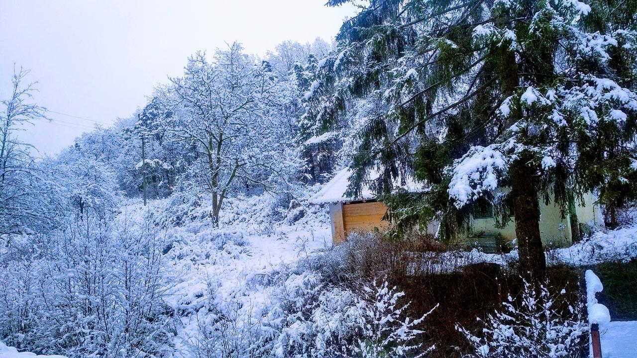 Giusvalla Forest Village Dego Extérieur photo